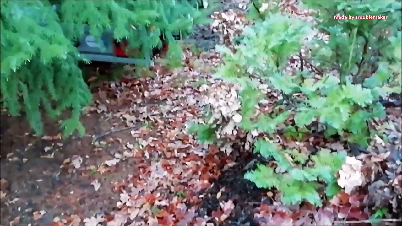 abandoned Villa Hügel a tiny new Home