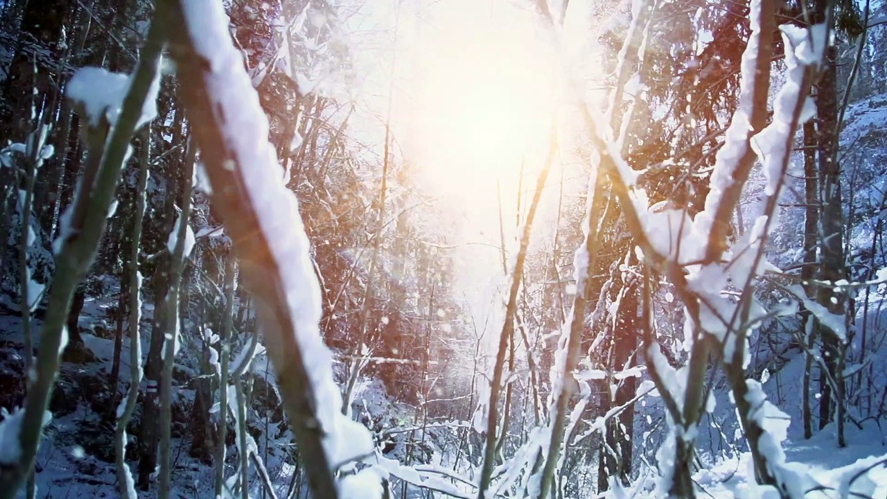 The Unique Molecular Structure of Snowflakes: A Scientific Explanation