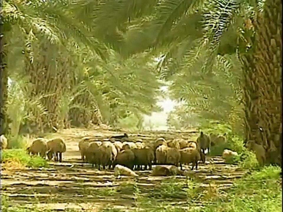 The History Of Orthodox Christianity Part 1(1)