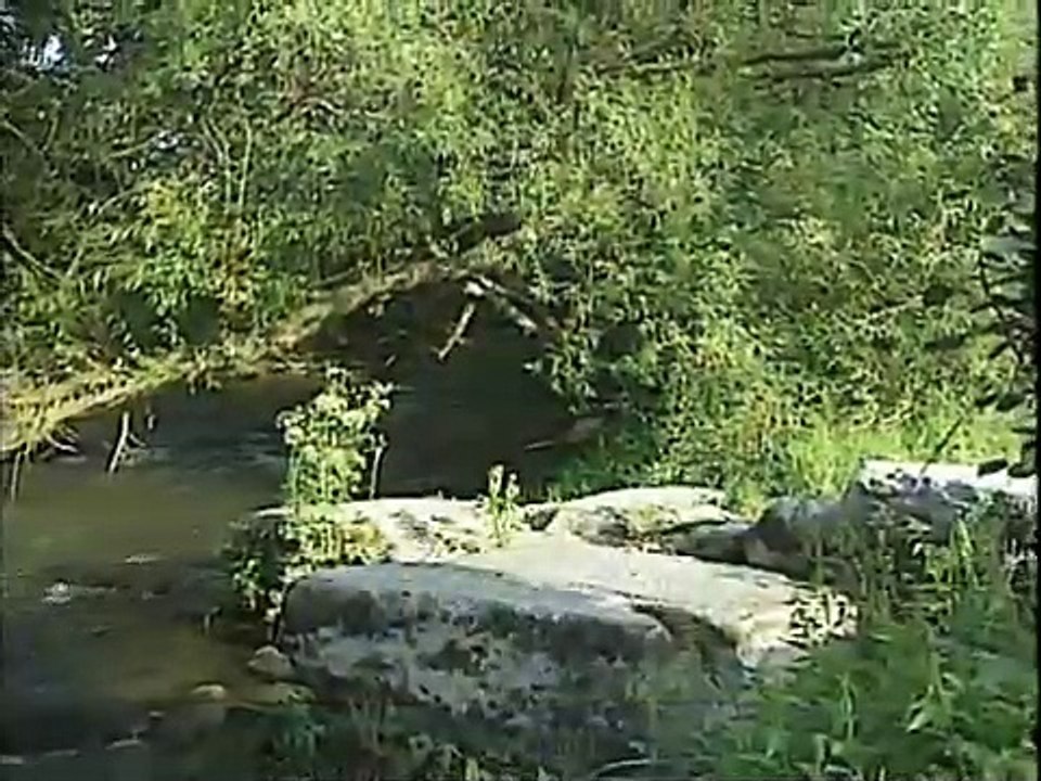 The History of Orthodox Christianity: Part 1