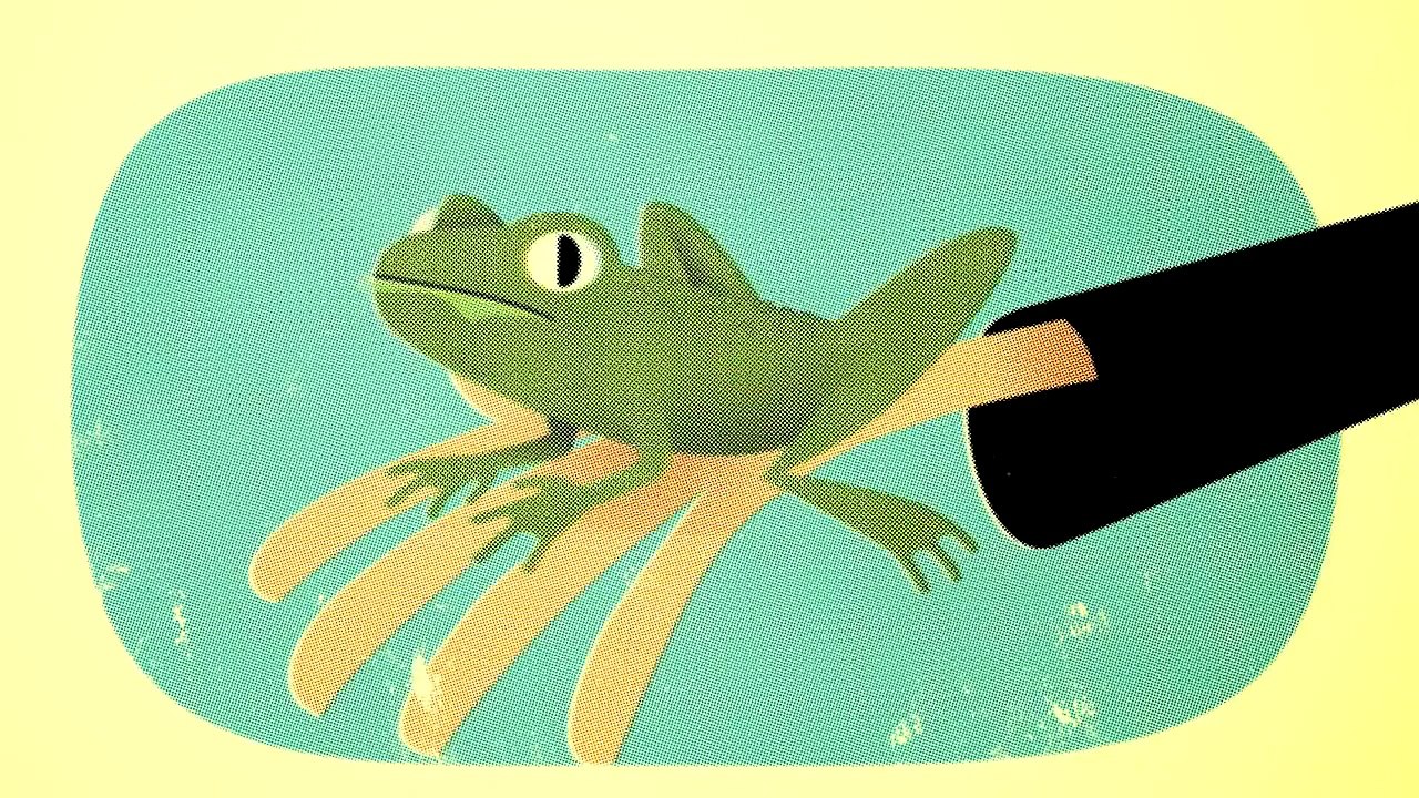 Cliché ! version française