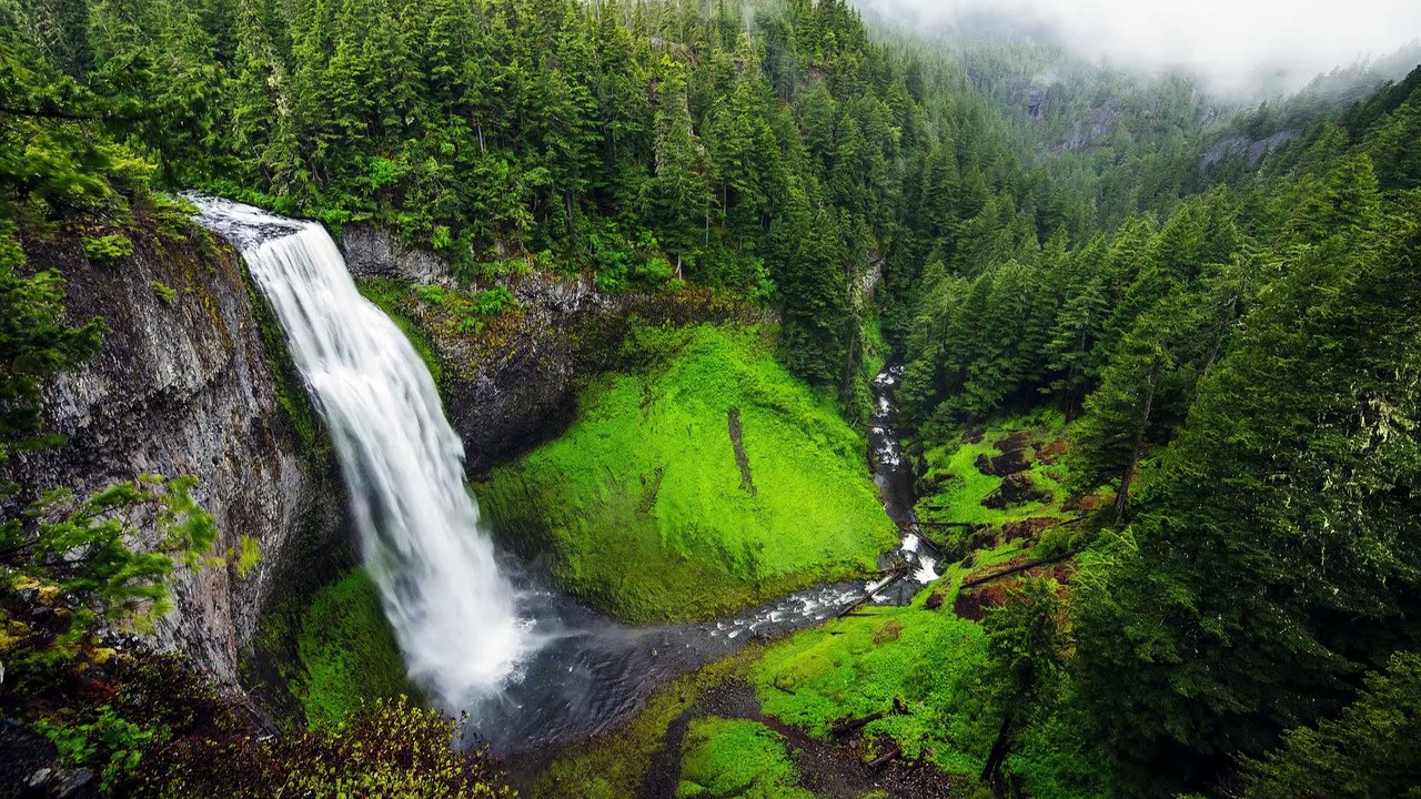 Psalm 1 - Read and Listen - KJV - Audio Visual Bible