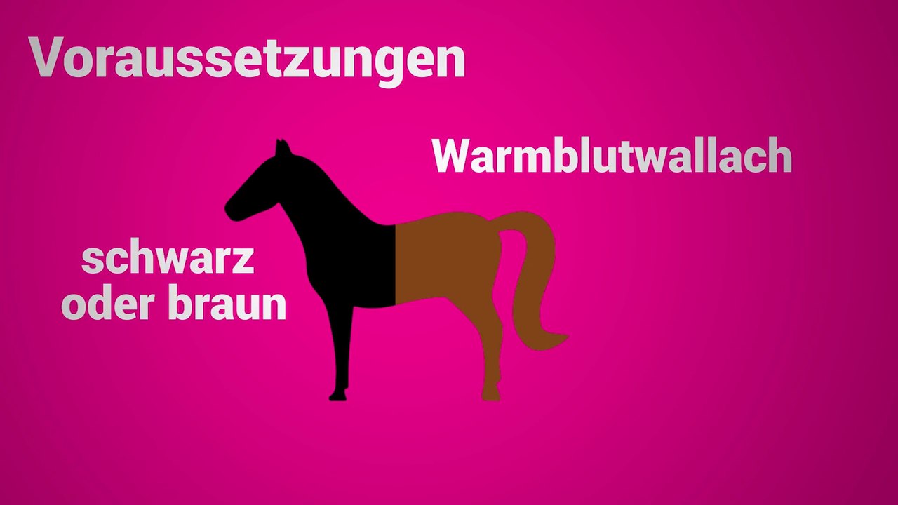 Kickls Reiterstaffel erklärt