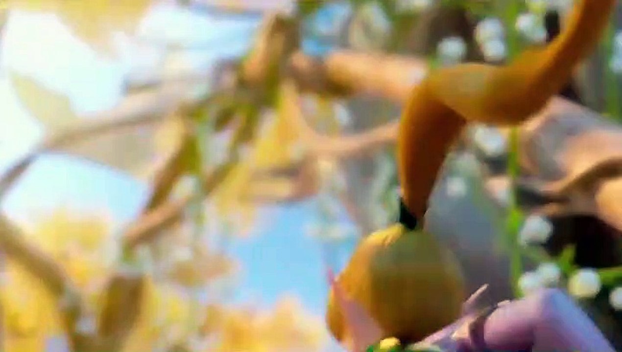 Romantic Video- Animation romantic video