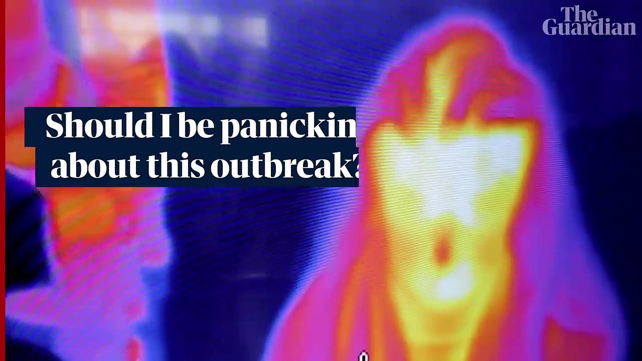 What is the coronavirus