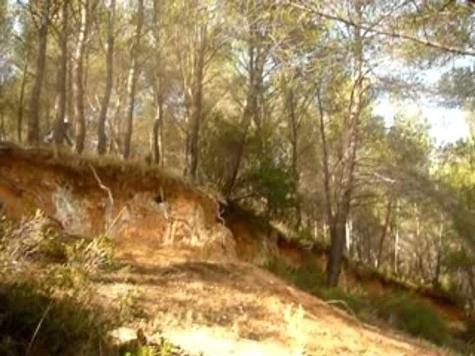 2M BIBEMUS: A Major Initiative