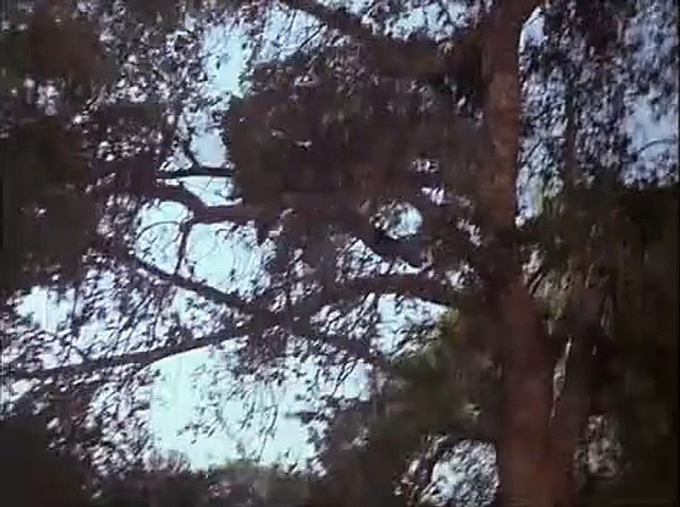 Hot Lead & Cold Feet - Trailer (1978)