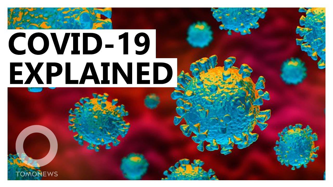 Covid-19 symptoms and precautions explained