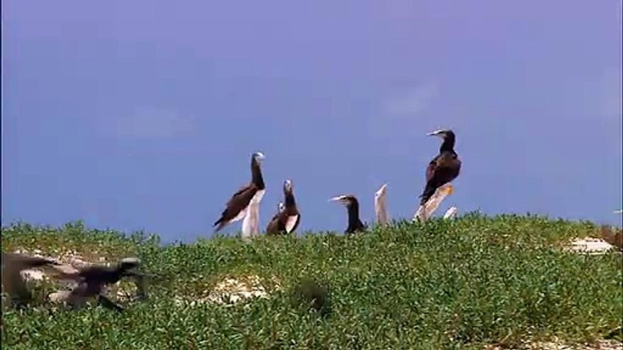 dasd sad sad sad sad