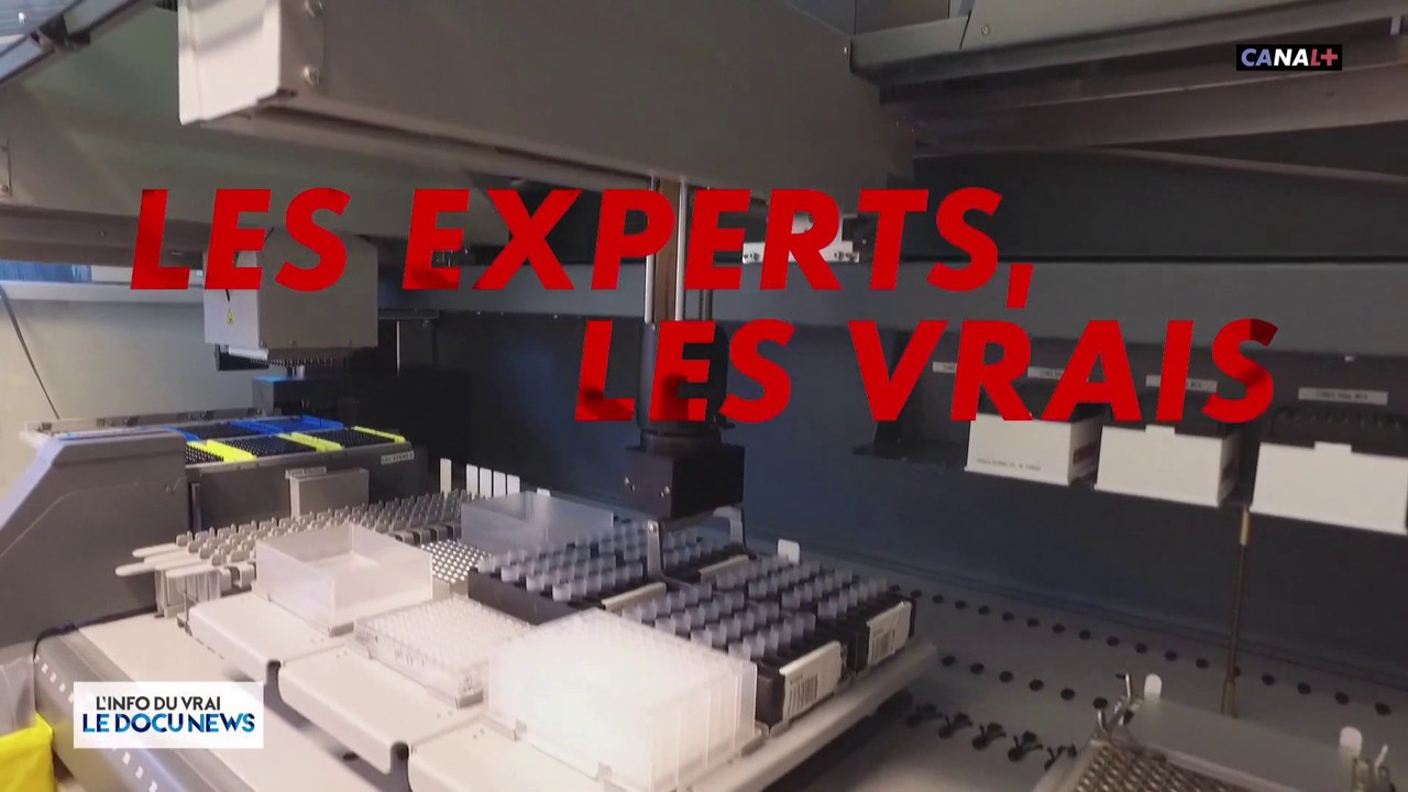 Les experts, les vrais