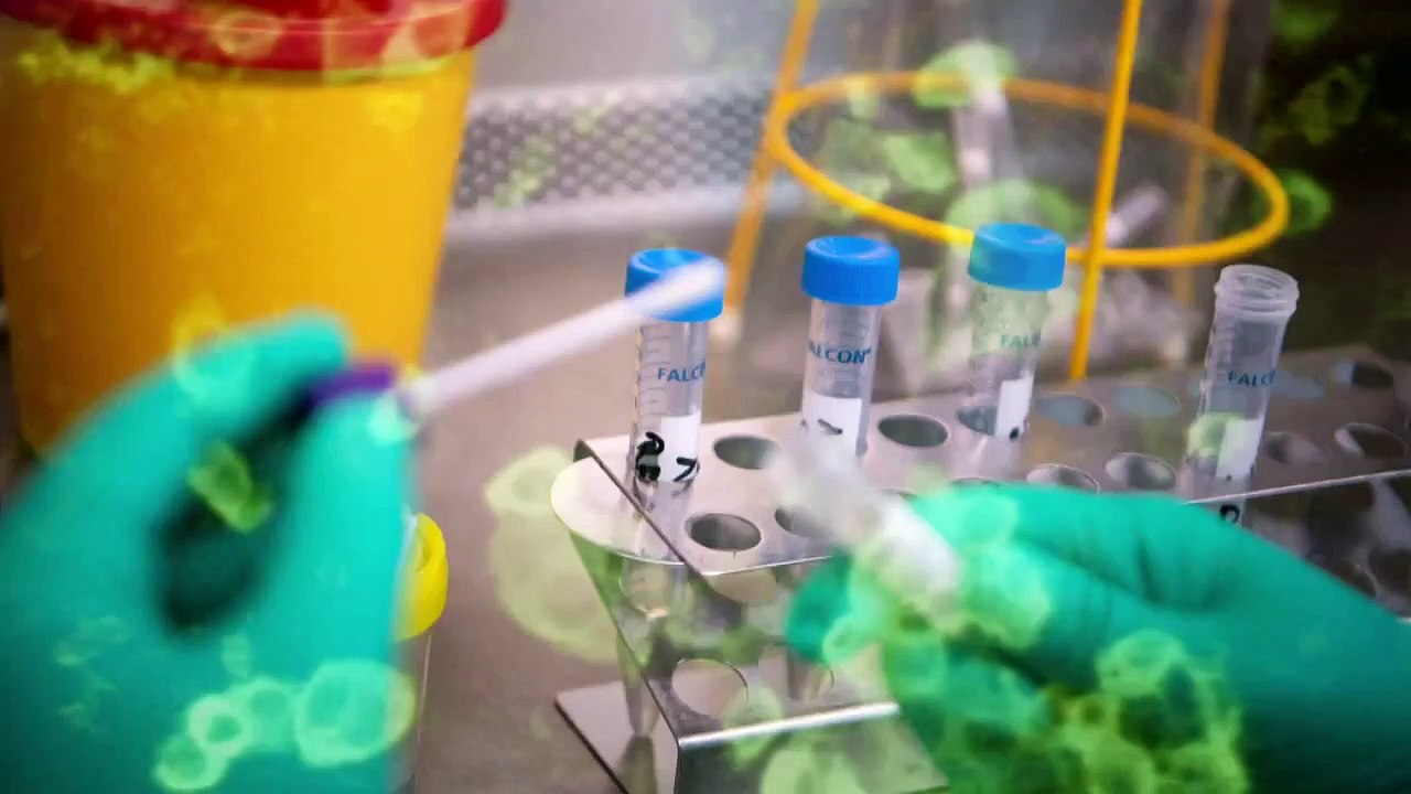 Corona Virus HD short film latest