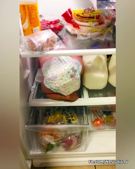 Funniest and Cutest Baby and Fridge