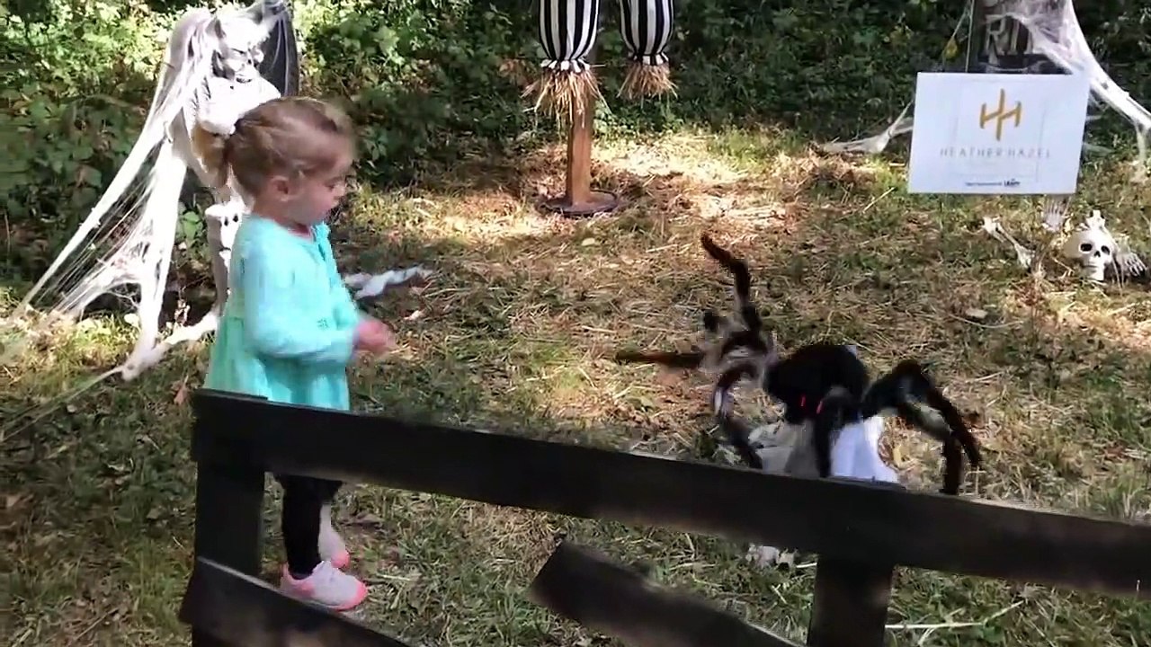 2020 funny kids video 2020