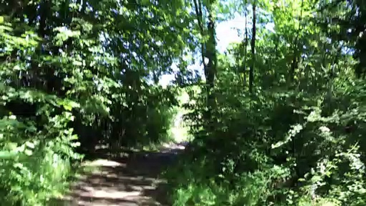 Jogging illustration