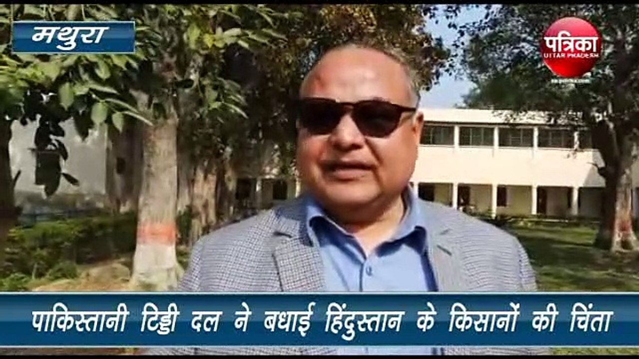 पाकिस्तानी टिड्डी