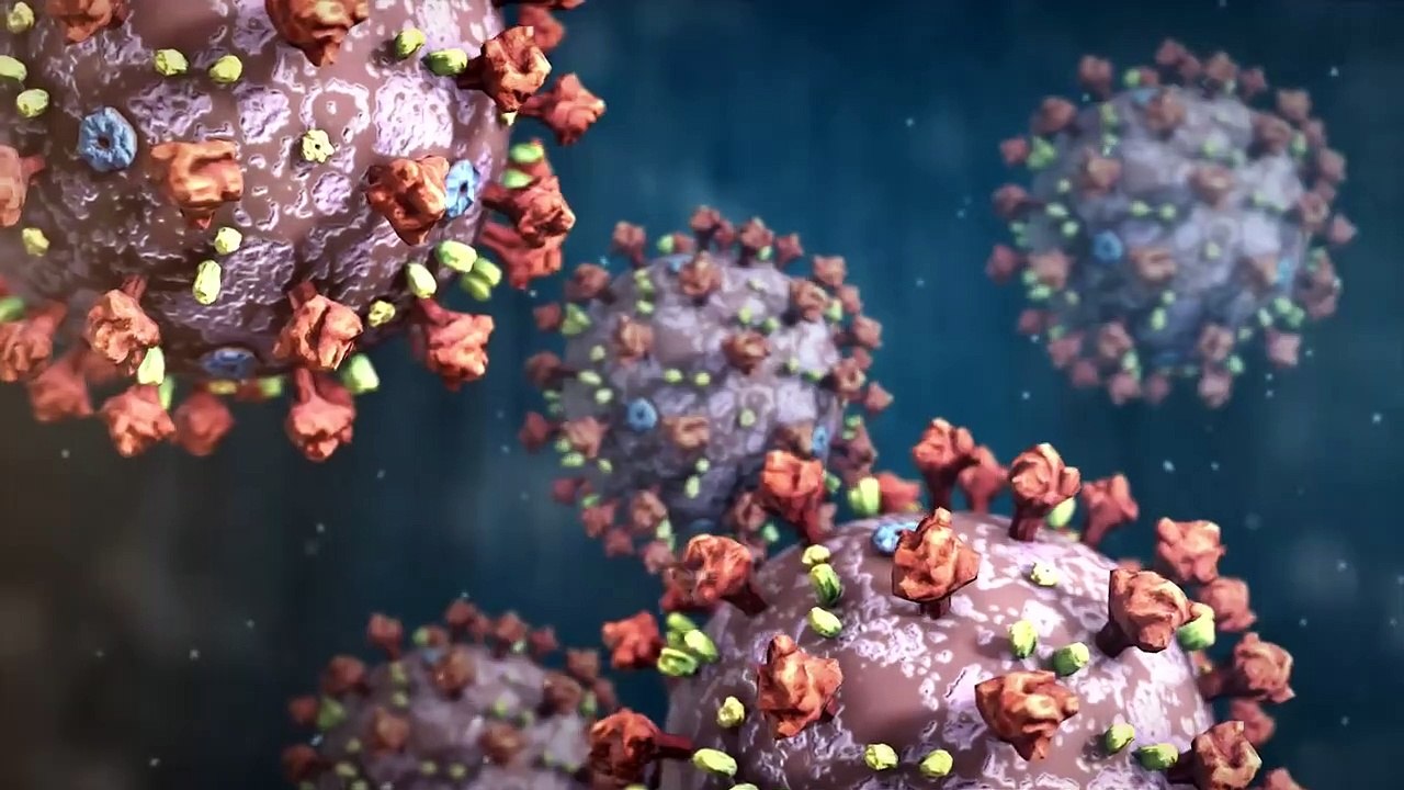 COVID-19 Animation- What Happens If You Get Coronavirus??