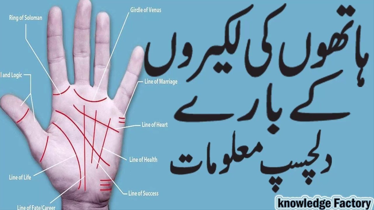 Palmistry Basics   learn palmistry in urdu Hindi | palmistry,learn palmistry,palmistry reading,palmistry basics,palmistry in hindi,palmistry in urdu,palmistry basics learn,fate line palmistry,money line in palmistry,money line in palmistry in hindi