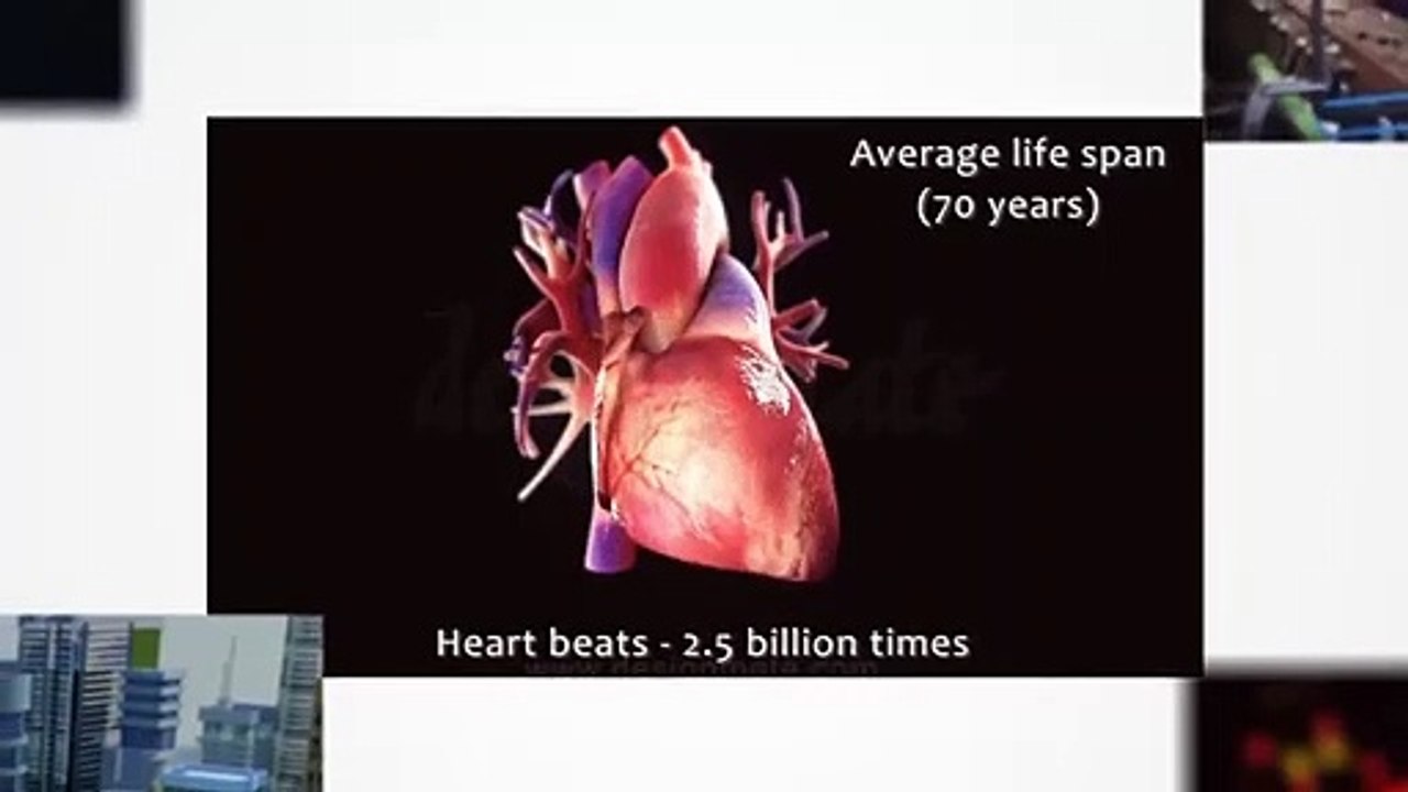 Personalised Online Learning Program for School Students