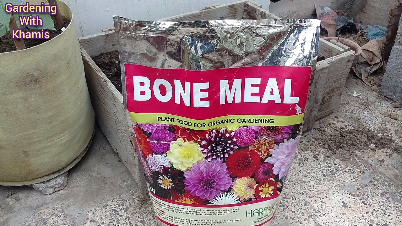 not blooming flowers in summer plants and vines??? PROBLEM SOLVED