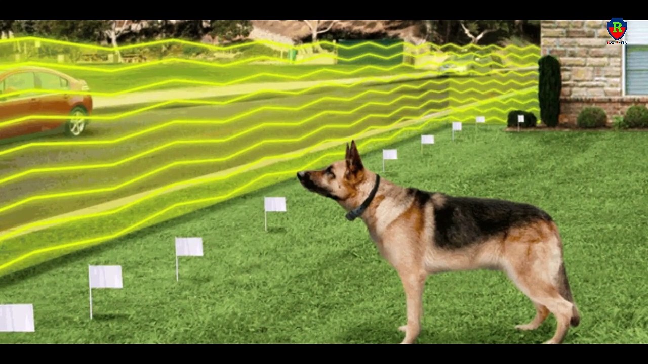 Some strange research by scientists that you will not be surprised to know.