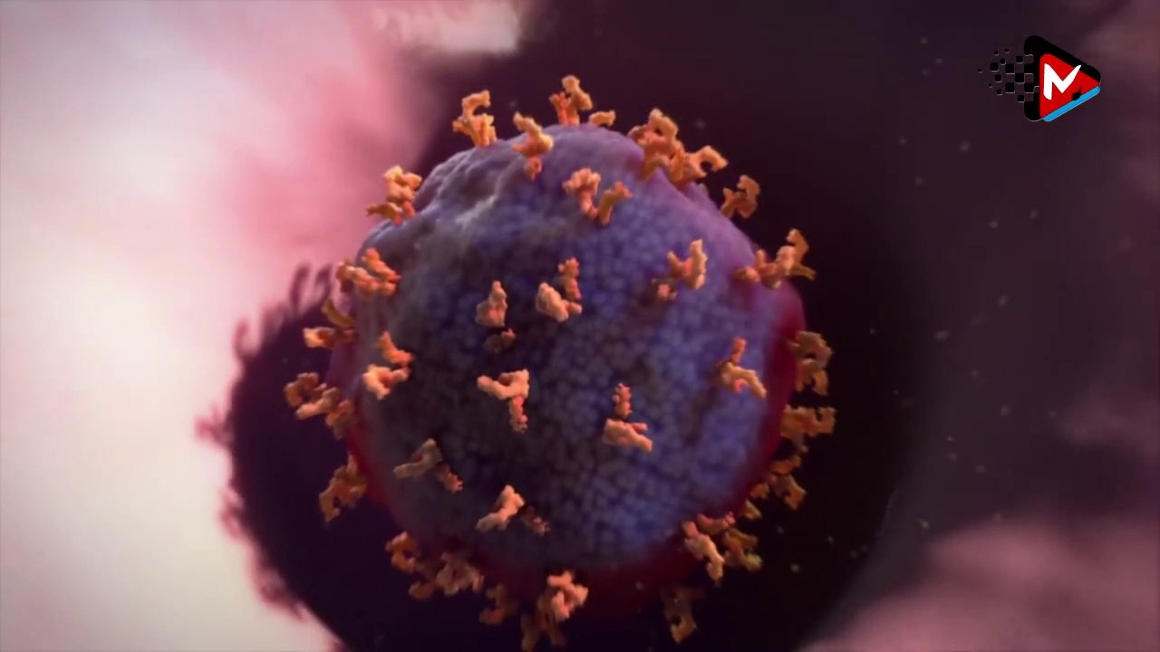 করোনা ভাইরাস কীভাবে শরীরে প্রভাব ফেলে? দেখুন|How corona virus affects the body|Mahmudsquadbd