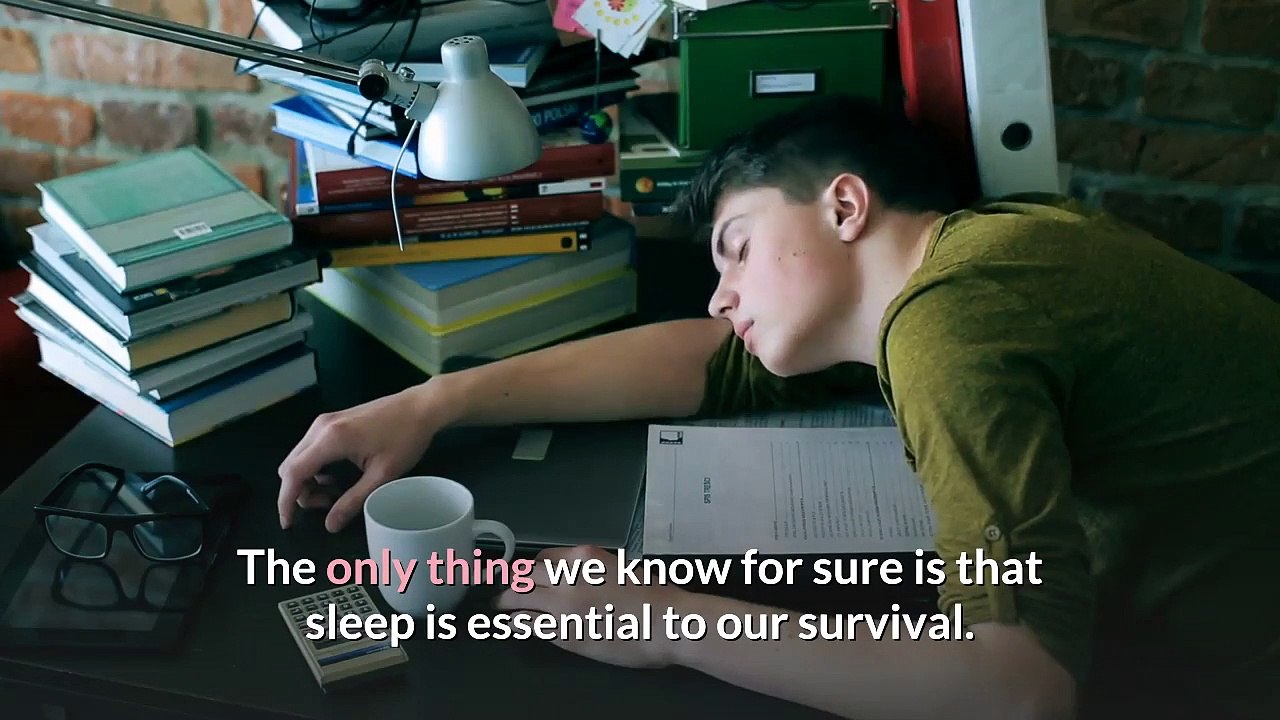 How Much Sleep Do I Need? || Article Gallery