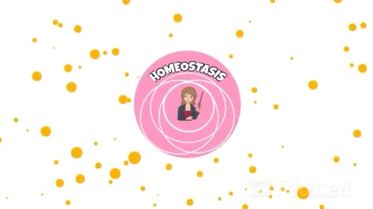 Respiration and Properties of respiratory surfaces Fsc part II - daily motion