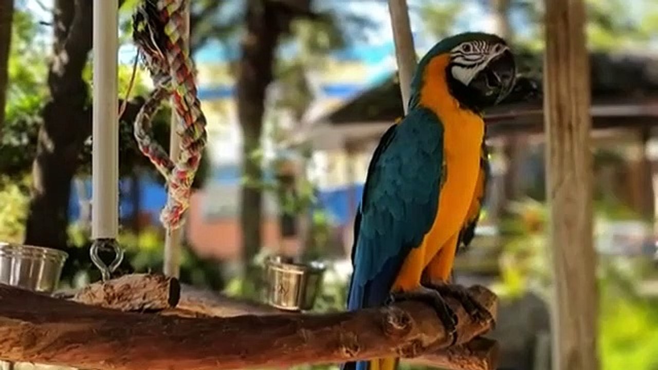 अध्ययन के लिए प्रेरणादायक वीडियो | छात्रों के लिए शक्तिशाली मोटिवेशन 💪