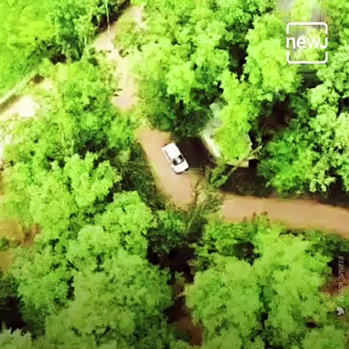 Security Forces Avert Major Terror Attack