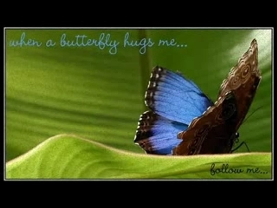 Transition blog à blog