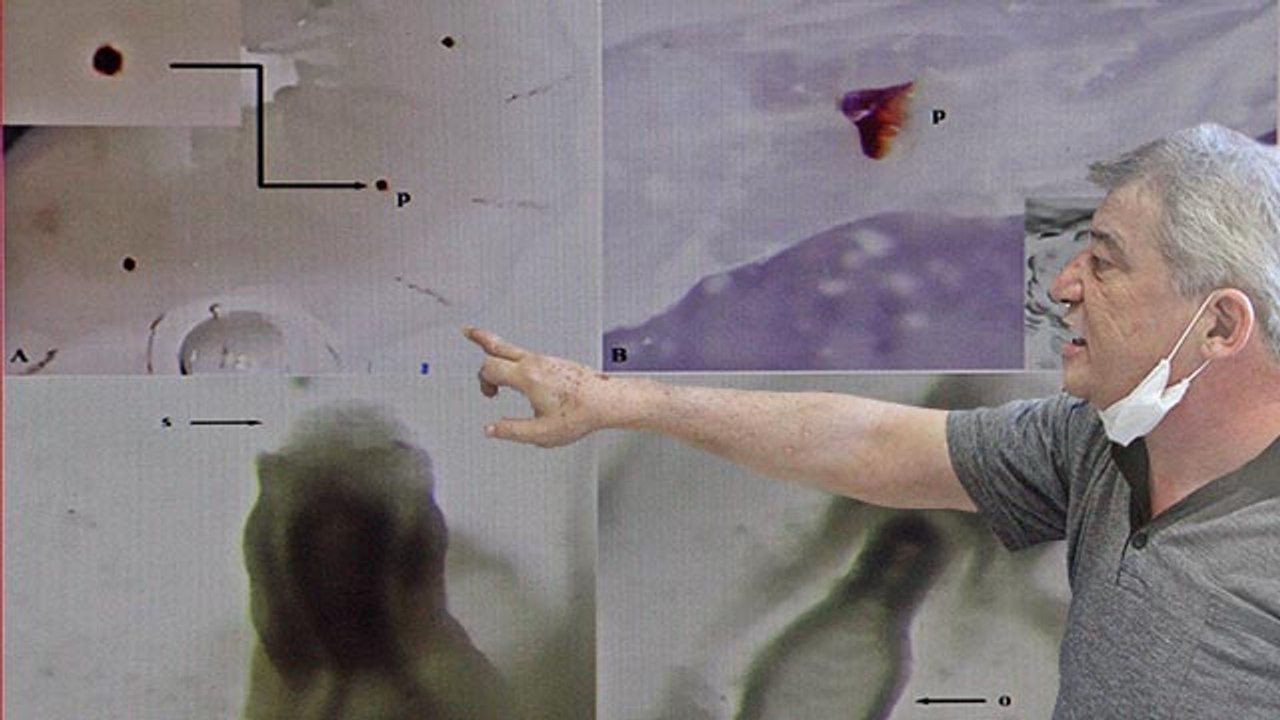 Türk Bilim İnsanları Antalya açıklarında yeni bir türe rastladı