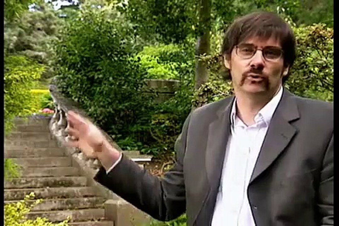 ALTA ANSIEDADE A MATEMÁTICA DO CAOS - II