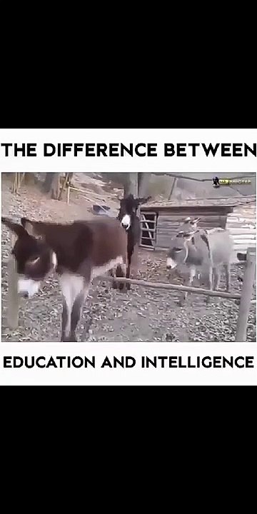 Education vs. Intelligence: What's the Real Difference? 🎓