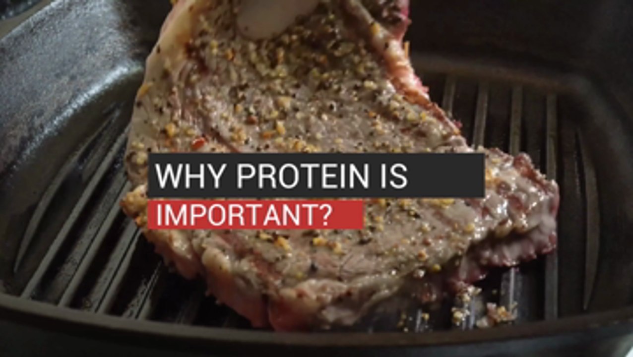 Why Protein is Important?