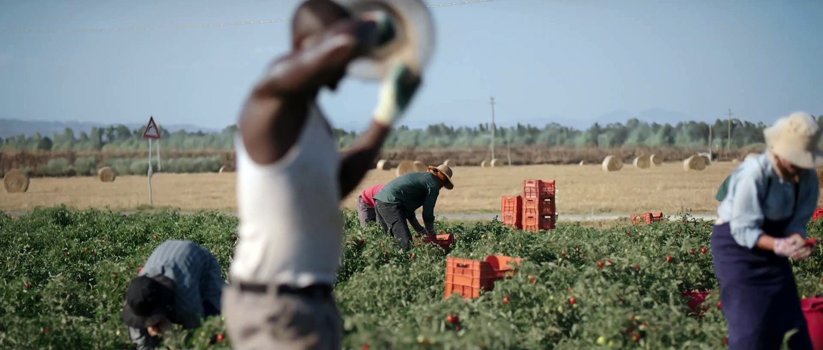 Havas Milan Coop Shopping Cart Development