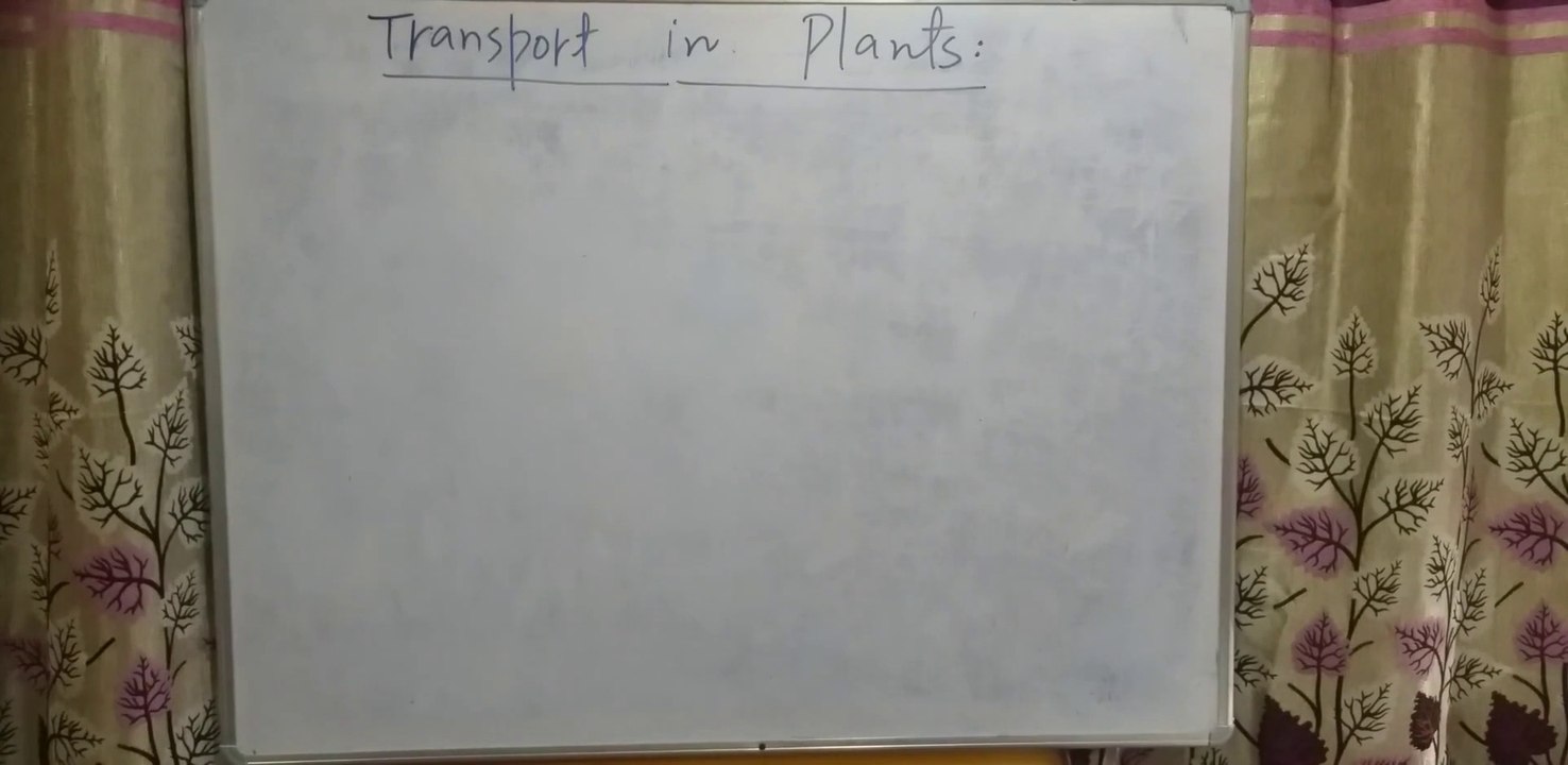 __Transport and Diffusion