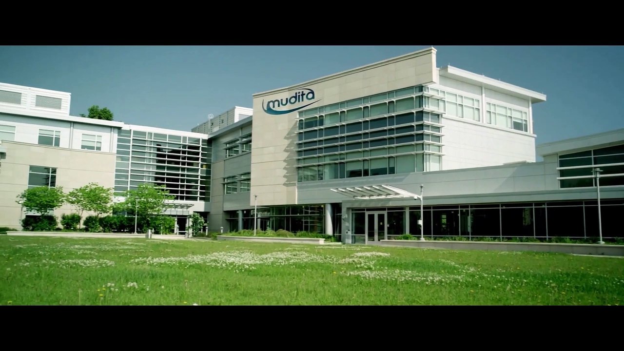 Algorithm Bliss movie