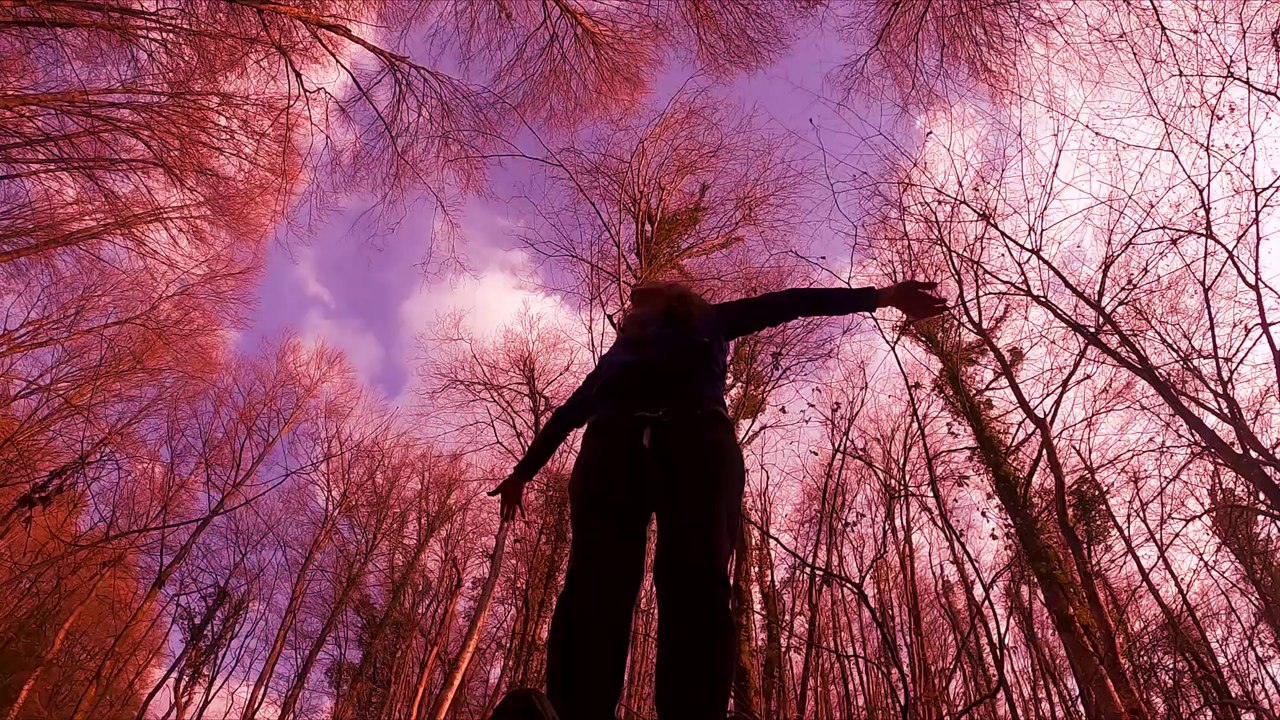 Dj Jeeba - Summer Day