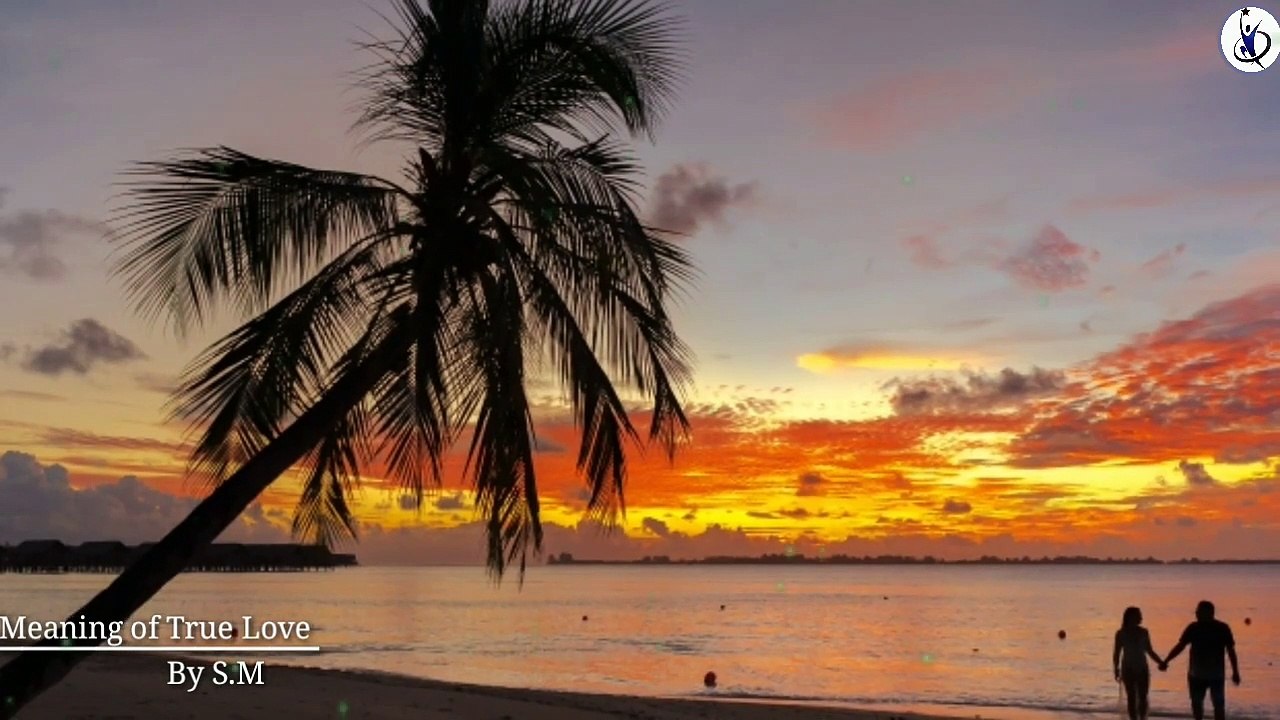 What is True Love |What is Love | Pyar Kya Hai | What is the Meaning of Love | Willingness Power