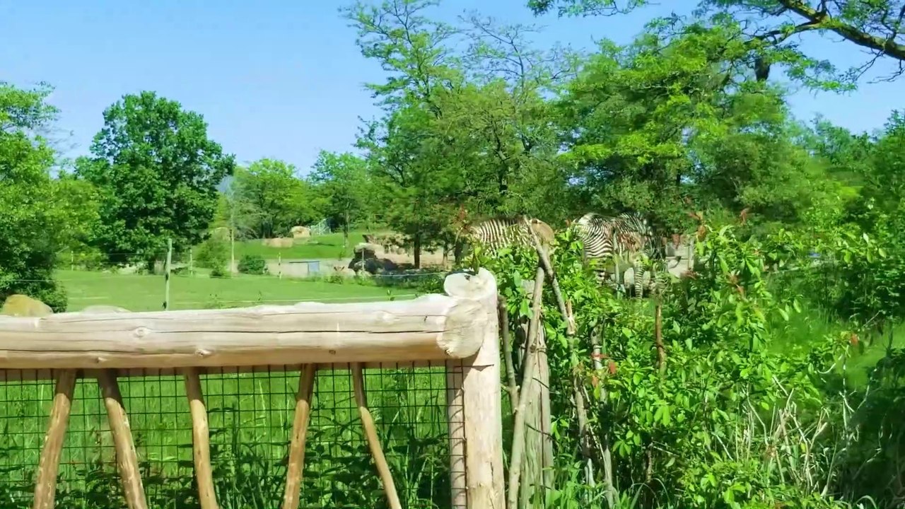 Toronto Zoo || Toronto || Canada