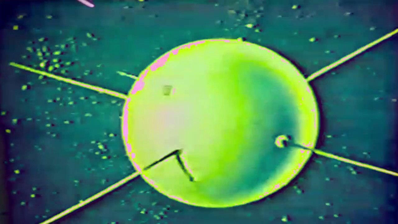 The Grinning Plowman - Synthetic Flux