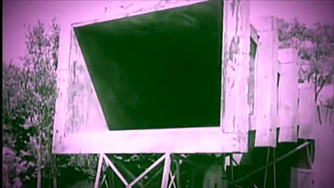 G O L P E - Chit Chat Sex Band (CCSB)