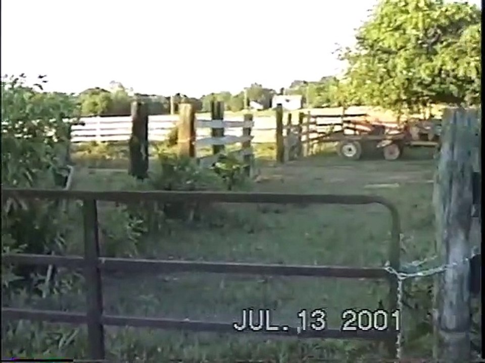 Hay 2001: A Year of Significance