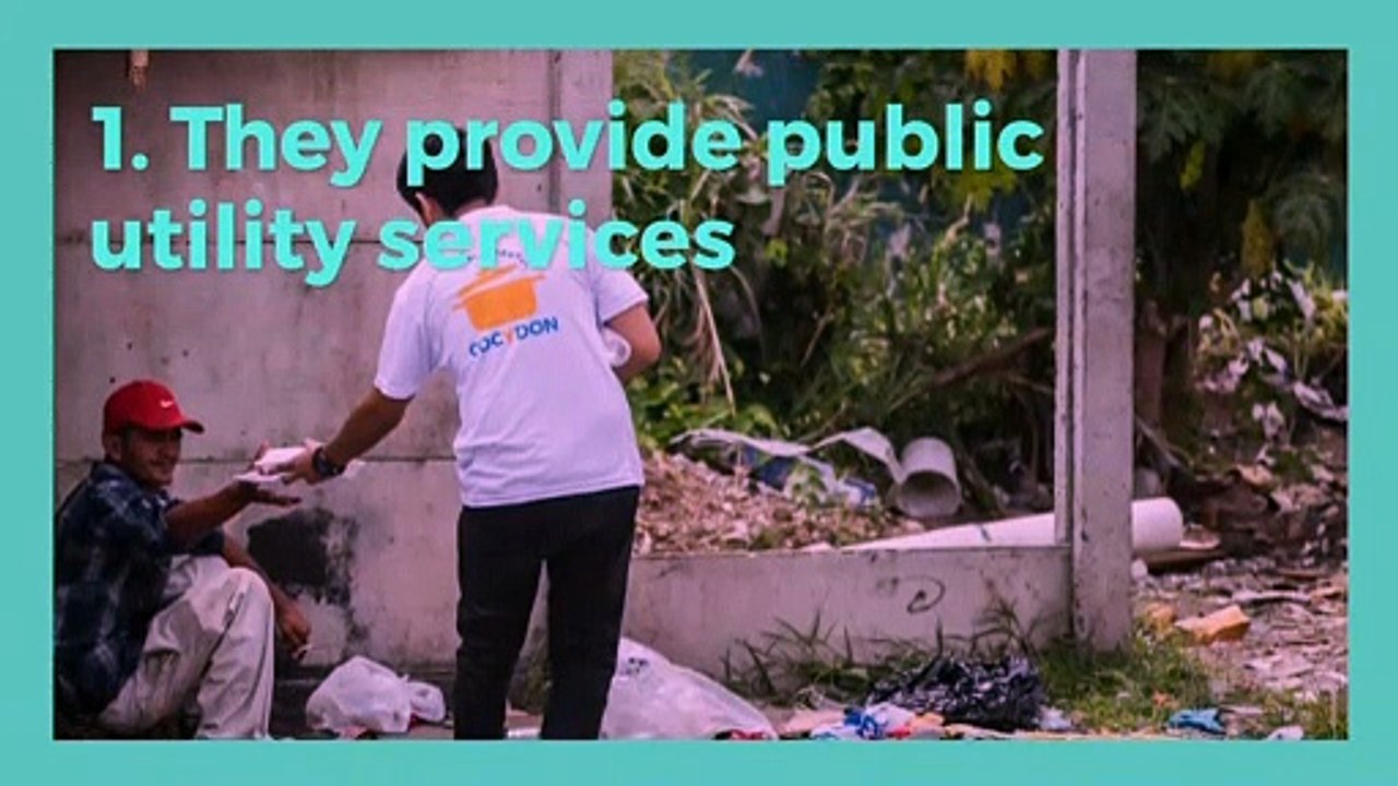 Characteristics of NGOs