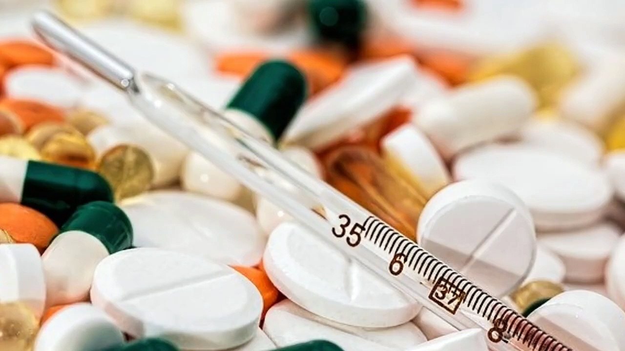 Why Snake Is Important?