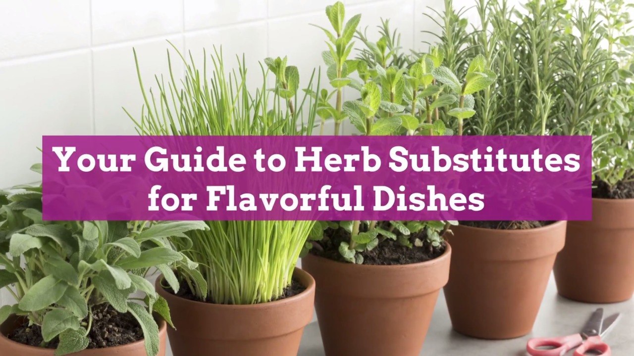 Your Guide to Herb Substitutes for Flavorful Dishes