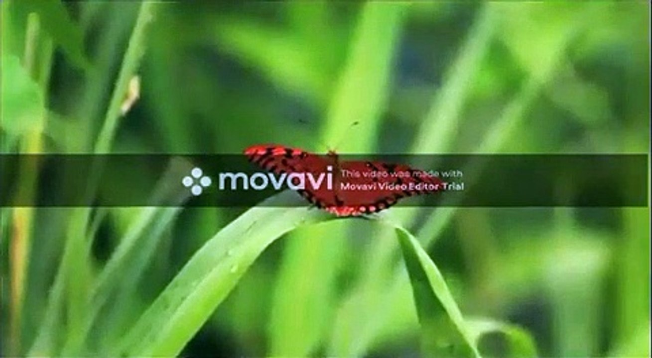 Top Romantic Music 2020 _ Top Pop Joy Music Lyrics 2020