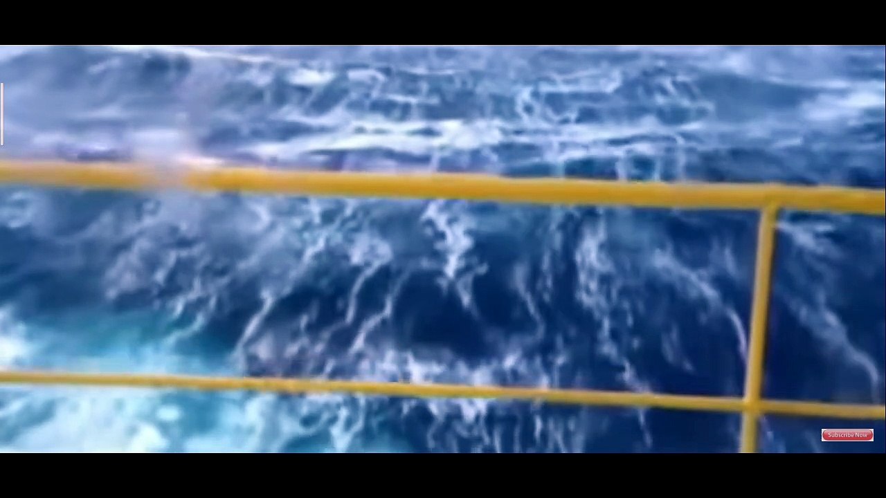 Amazing Amazing Amazing video entertainment only