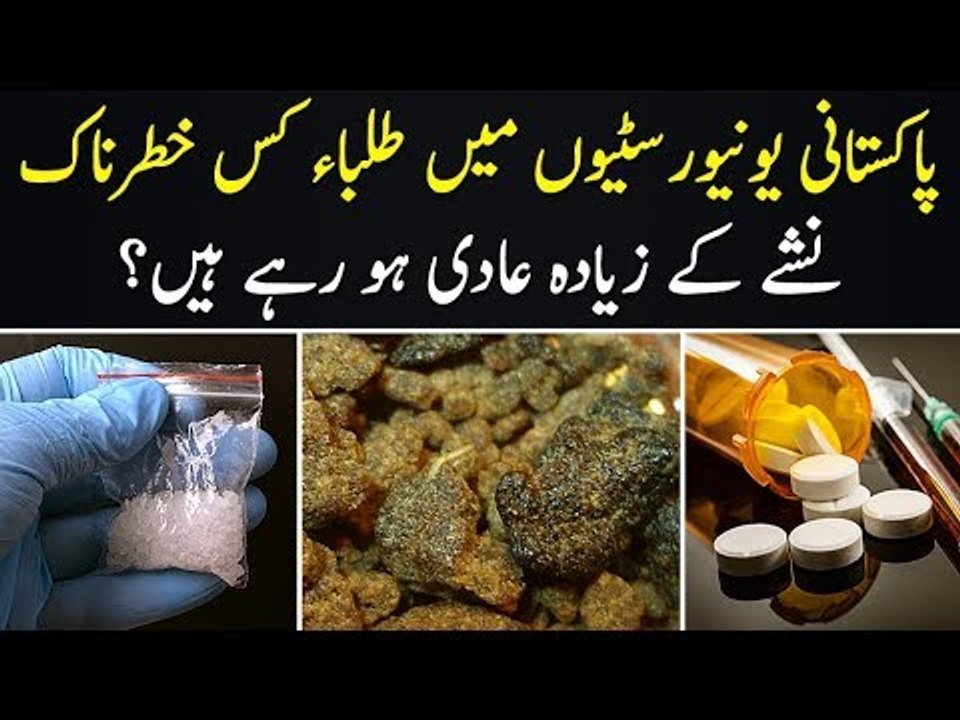 Which Drug Is Most Commonly Used By Students In Pakistan? | Use Of Drugs In University | ANF Report