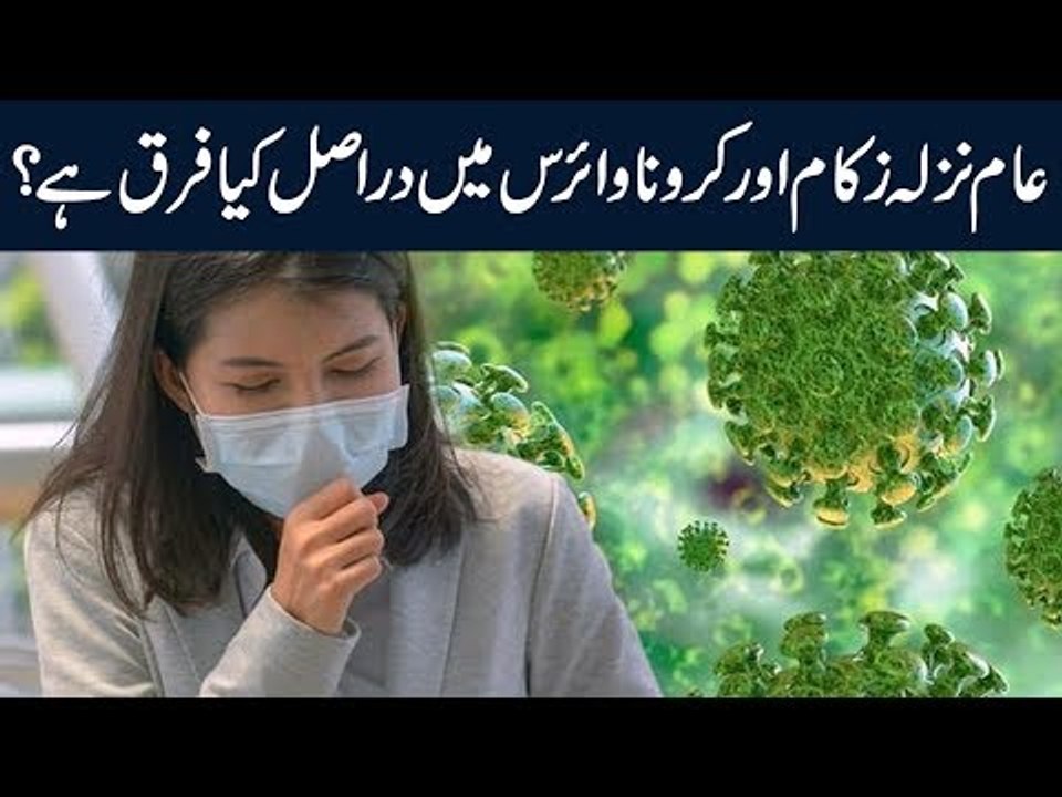 What Is The Difference Between Normal Flu & Coronavirus? | Watch Important Video